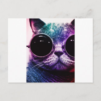 Hipster Cat Pop Art Vykort