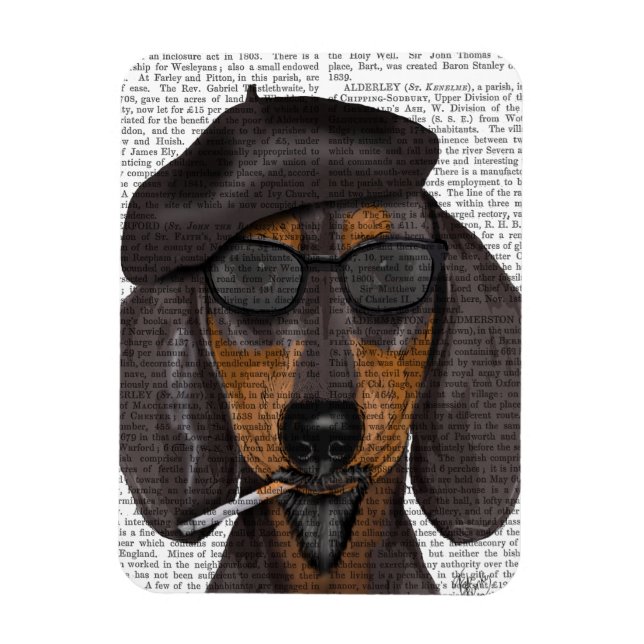 Hipster Dachshund Black och Tan Magnet (Vertikal)