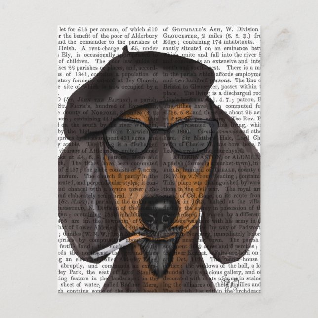Hipster Dachshund Black och Tan Vykort (Framsida)