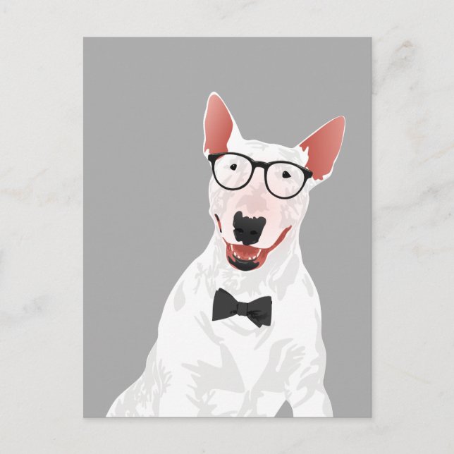 Hipster English Bull Terrier Hund Postcard Vykort (Framsida)