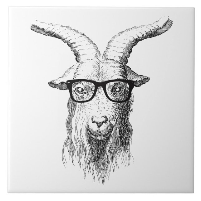 Hipster Goat Kakelplatta (Framsidan)