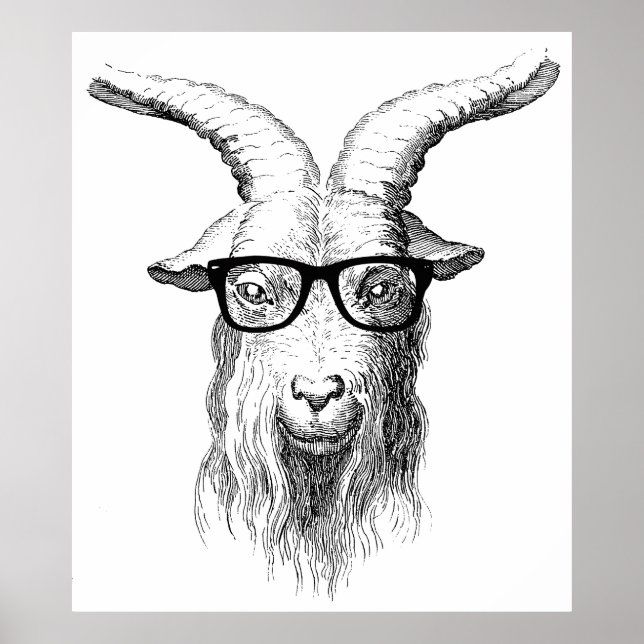 Hipster Goat Poster (Framsidan)