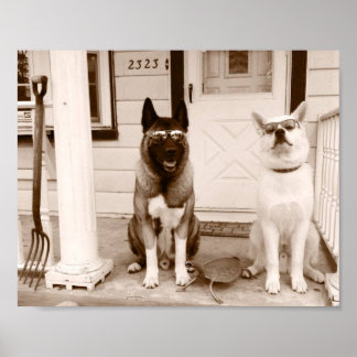 Hipster Hund Duo Poster