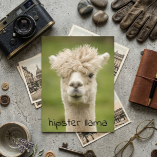 Hipster Lama Roligt Hårfrisyr Vykort