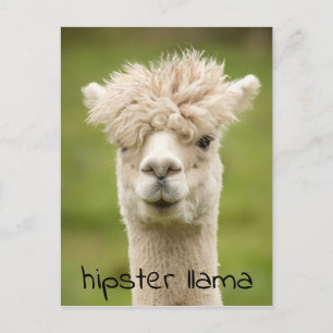 Hipster Loama Funny Hairdo Vykort