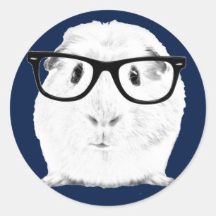 Hipster Pigster Runt Klistermärke