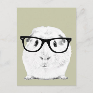 Hipster Pigster Vykort