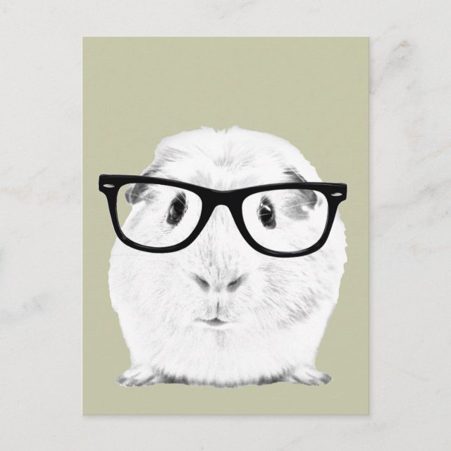 Hipster Pigster Vykort (Framsida)