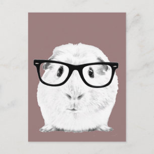 Hipster Pigster Vykort