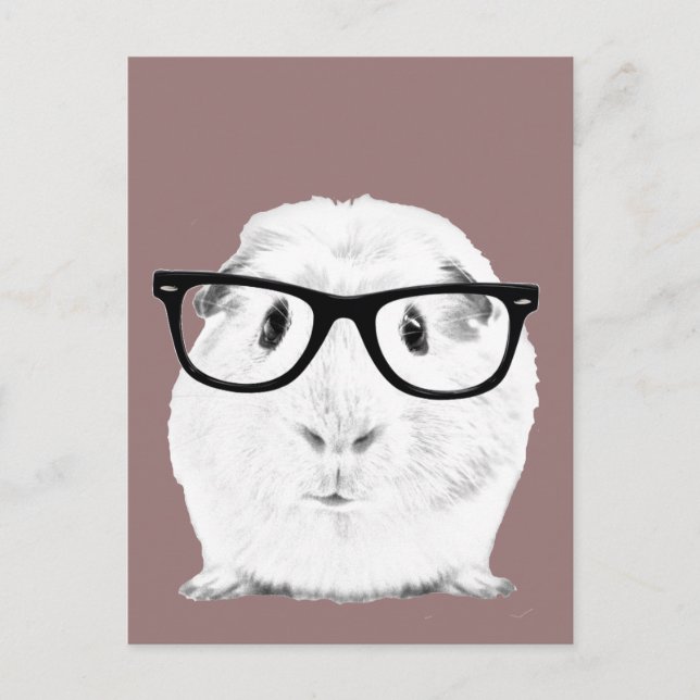 Hipster Pigster Vykort (Framsida)