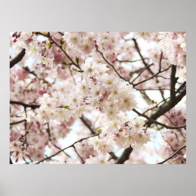 Hipster Poster (Framsidan)