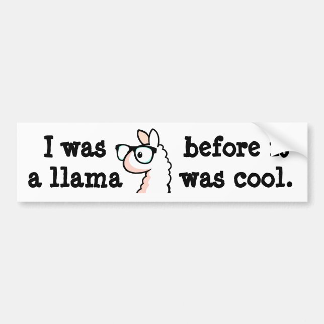 HipsterLlama Bildekal (Framsidan)