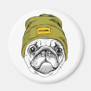 Hipstermops är det kallt magnet