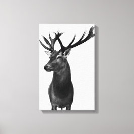 Hirsch Canvastryck