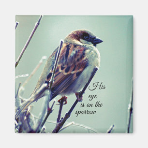 HIs öga är på Sparrow Magnet