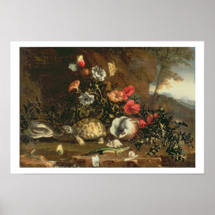 Hisar, blommor, reptiler och fjärilar bredvid vara poster