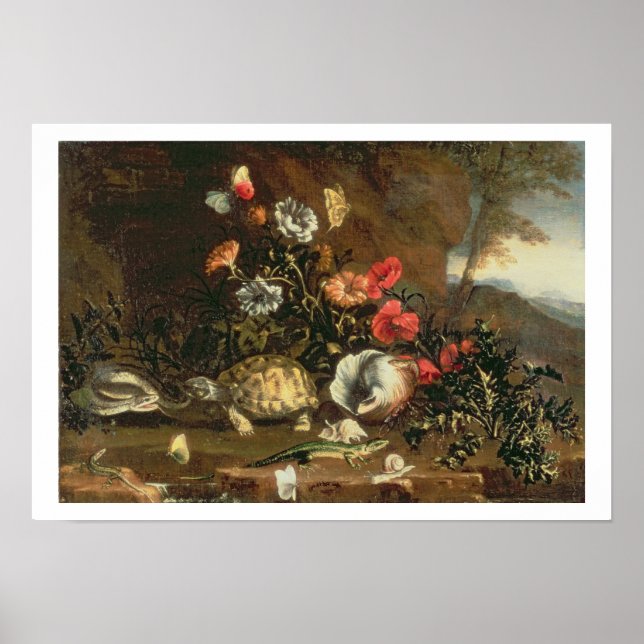 Hisar, blommor, reptiler och fjärilar bredvid vara poster (Framsidan)