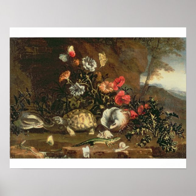 Hisar, blommor, reptiler och fjärilar bredvid vara poster (Framsidan)