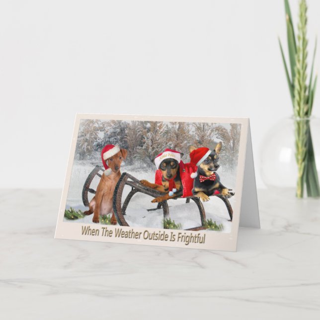 Hiskeligt väder för miniatyrPinscher Helgkort (Framsida)