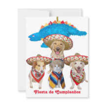 Hispanic Theme Barns födelsedag-inbjudan