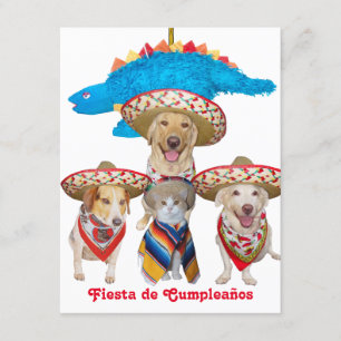 Hispanic Theme Barns födelsedag-inbjudan Inbjudningar