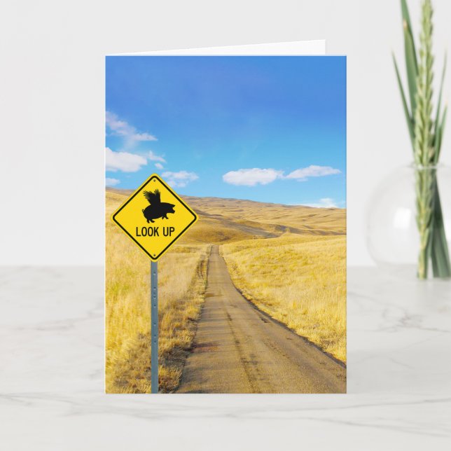 Hiss upp Öga för Grisar kan flyga Kort (Framsida)