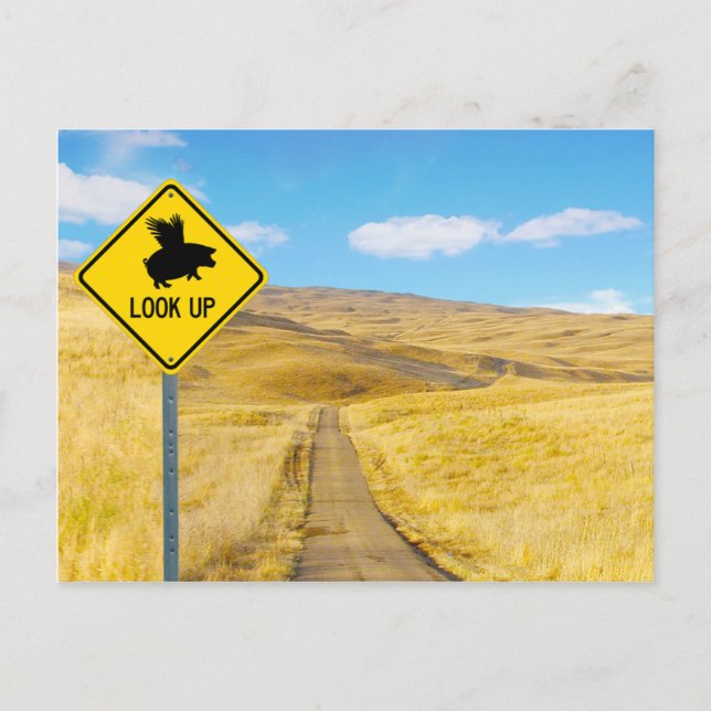 Hiss upp Öga för Grisar kan flyga Vykort (Framsida)