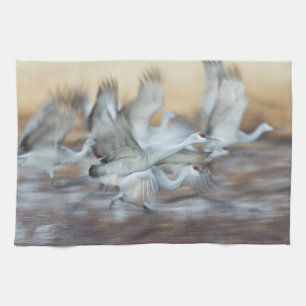 Hiss utanför Sandhill Cranes Kökshandduk