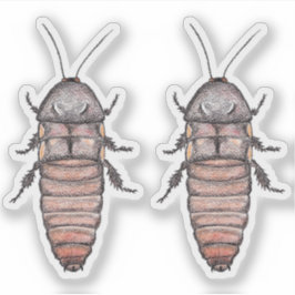 Hissing Cockroach Vinyl Stickers Klistermärken