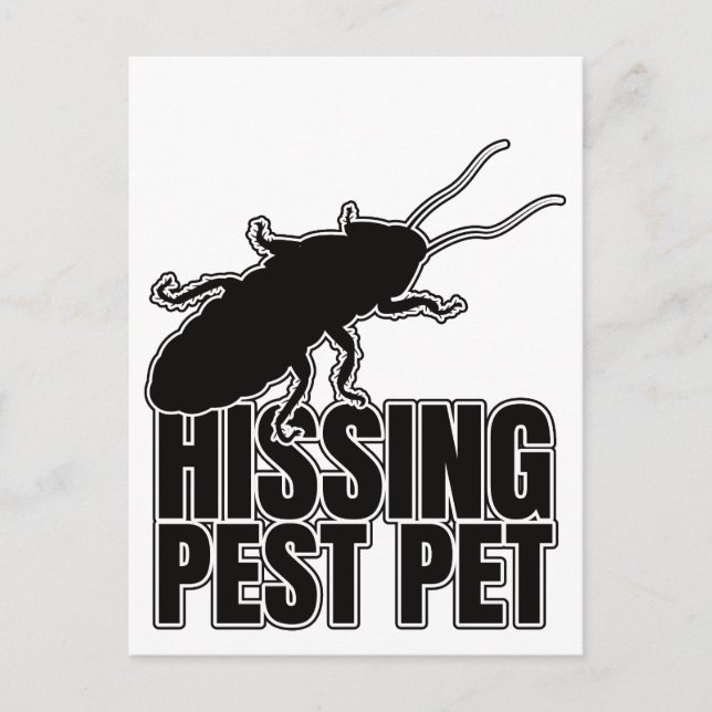 Hissing Cockroacher Cockroach Roach Hisser Vykort (Framsida)