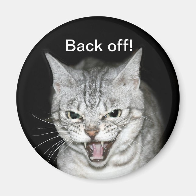 Hissing-katt Magnet (Framsidan)