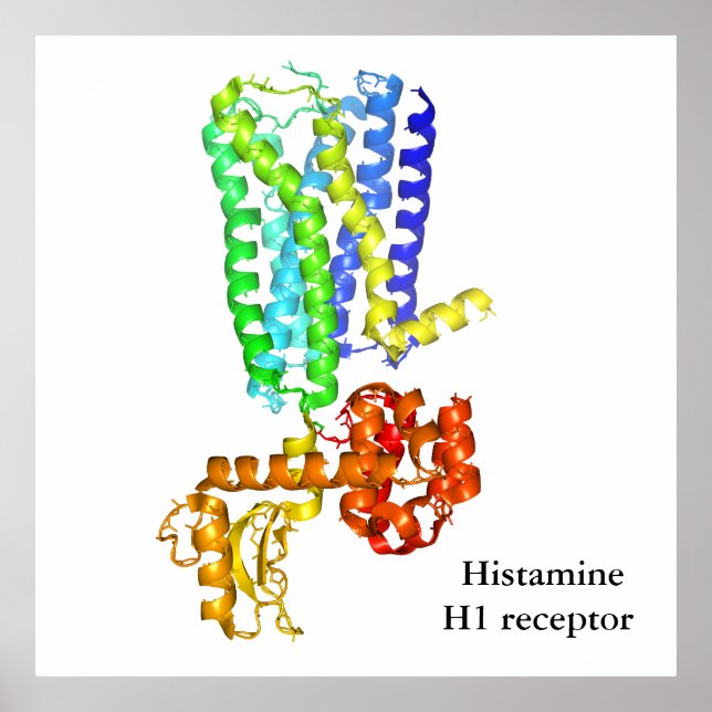 Histaminreceptor Poster (Framsidan)