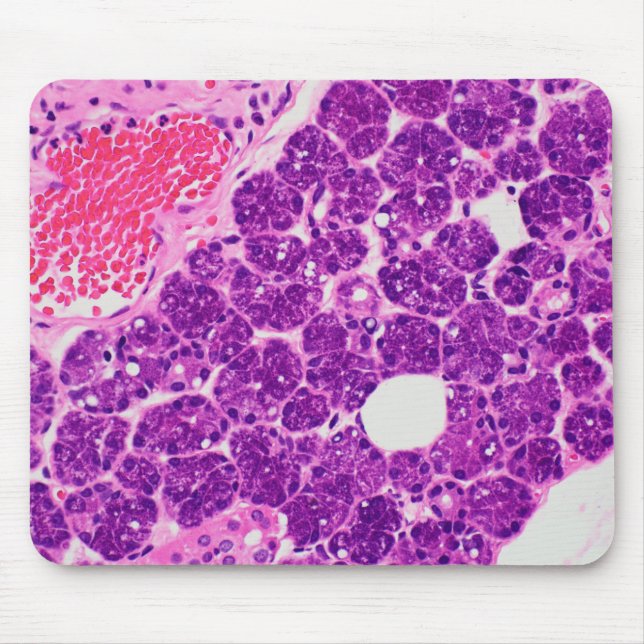 Histologikonst - Mousepad Musmatta (Framsidan)
