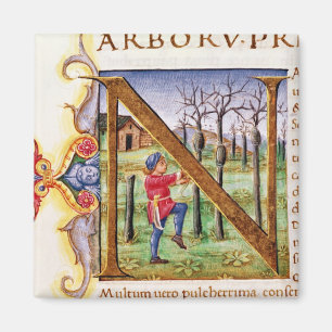 Historiated initiala 'N Magnet
