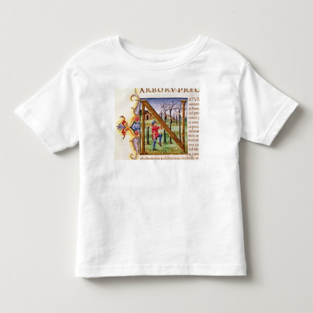Historiated initiala 'N T Shirt (Framsida)