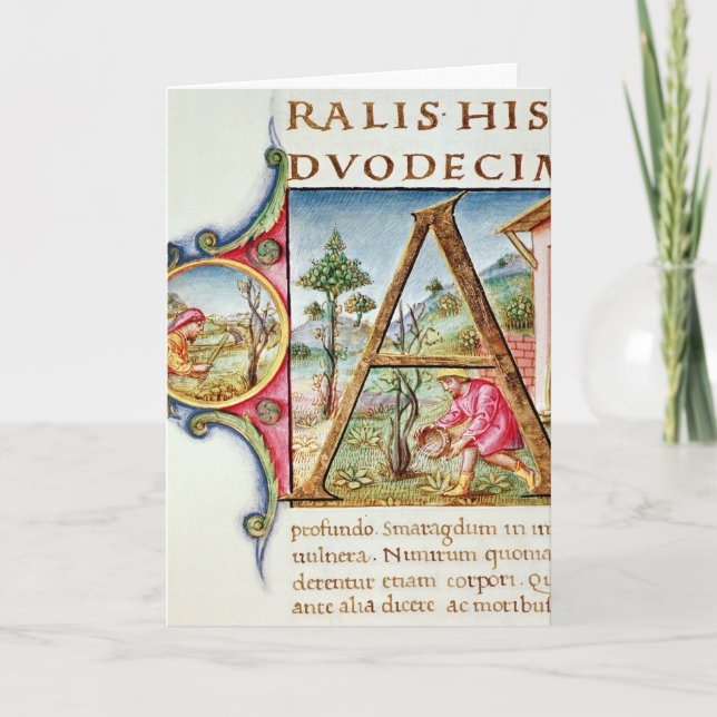 Historiated initialt "A" som visar Anteckningskort (Framsida)