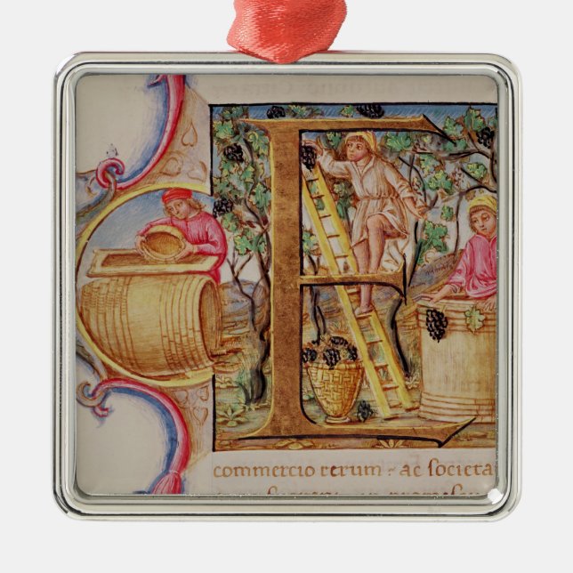 Historiated initialt "E" som visar druvaplockning Julgransprydnad Metall (Framsidan)
