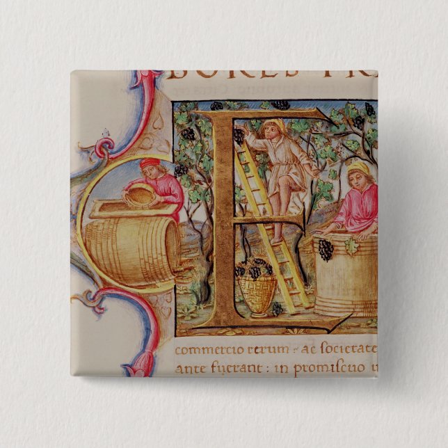 Historiated initialt "E" som visar druvaplockning Knapp (Framsida)