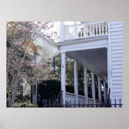 Historic Charleston, SC Poster
