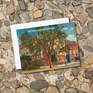 Historic DeSoto Hotel Savannah GA Vykort