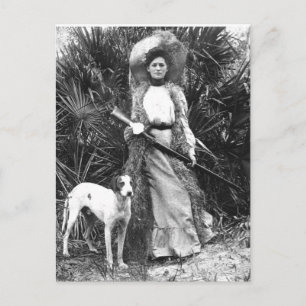 Historical Florida Postcard Vykort