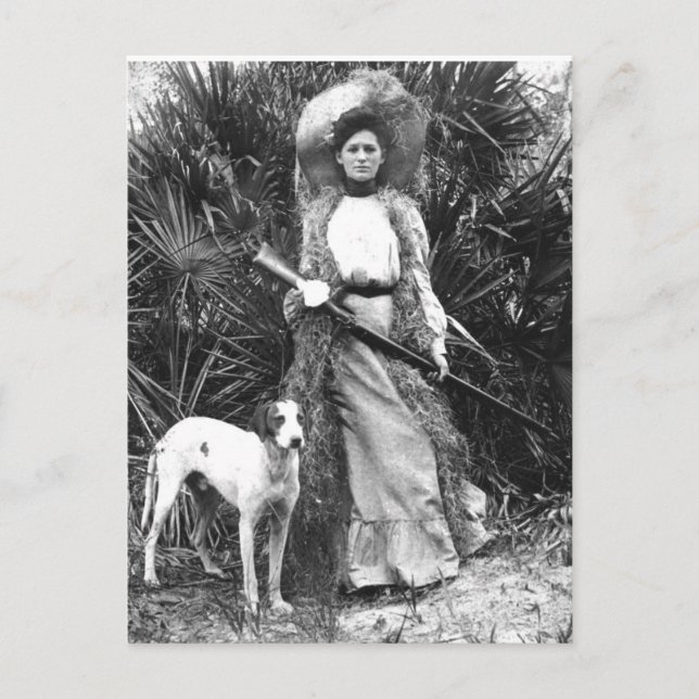 Historical Florida Postcard Vykort (Framsida)