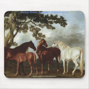 HISTORIEN FÖR HORSE-samlingen Musmatta