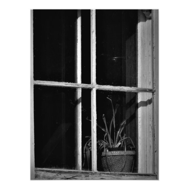 "Historik absorberad" Fototryck (Framsidan)