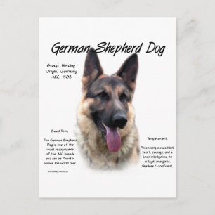 Historik för tyska Shepherd Hund Vykort