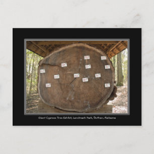 Historik Landmark Park, Dothan Alabama-postkort Vykort