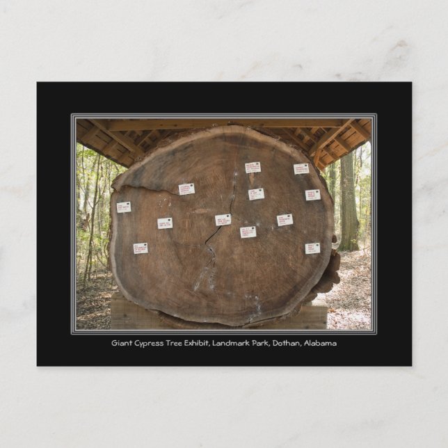 Historik Landmark Park, Dothan Alabama-postkort Vykort (Framsida)