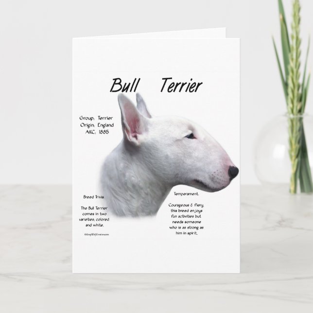 Historikdesign för Bull Terrier (wht) Helgkort (Framsida)