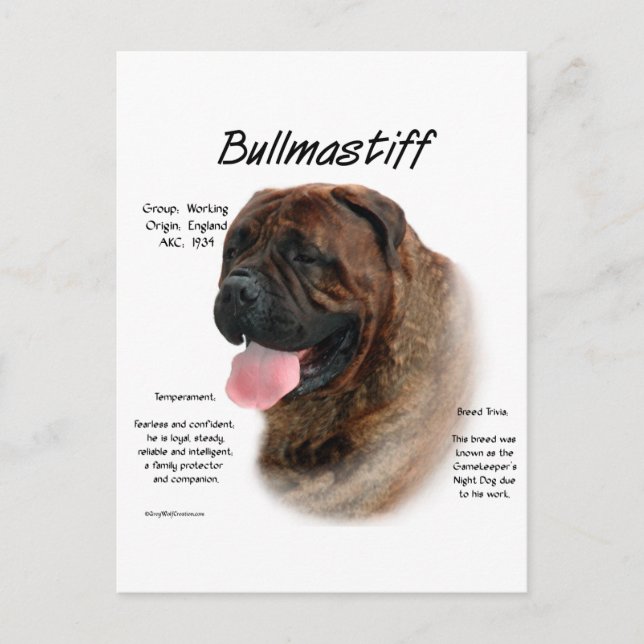 Historikdesign för bullmastiff (brindle) vykort (Framsida)
