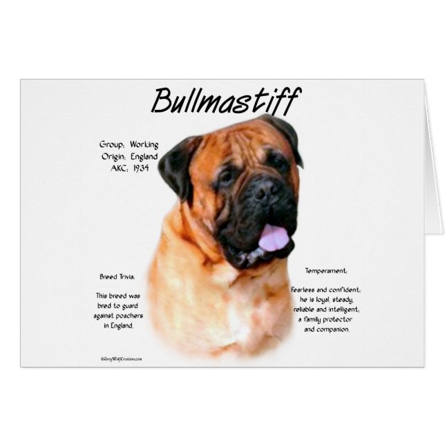 Historikdesign för bullmastiff (röd) hälsningskort (Framsidan Horizontal)